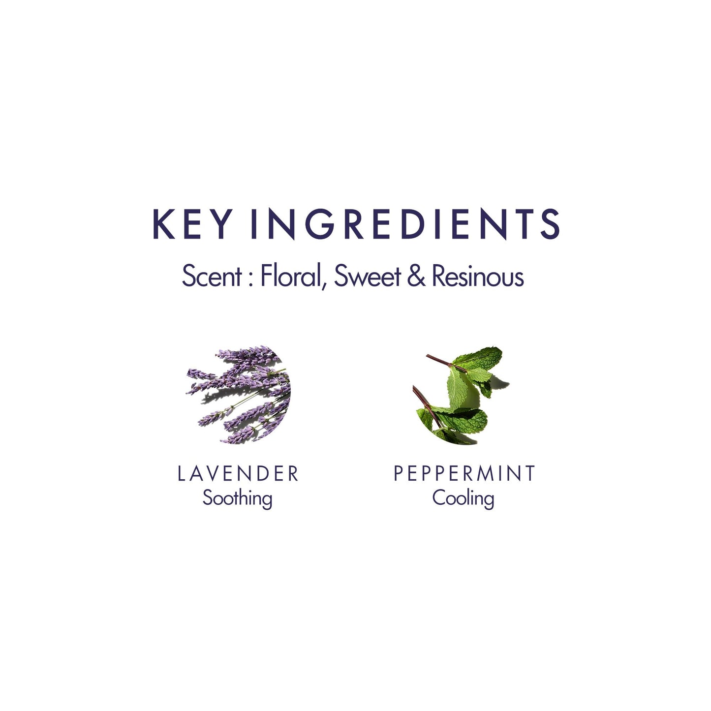Aromatherapy Associates Bath and Shower Oil, Luxury Spa, Natural Bath, Bath Oil, Vegan, Cruelty Free, Environment Friendly (Support Lavender & Peppermint Bath and Shower Oil 55ml)