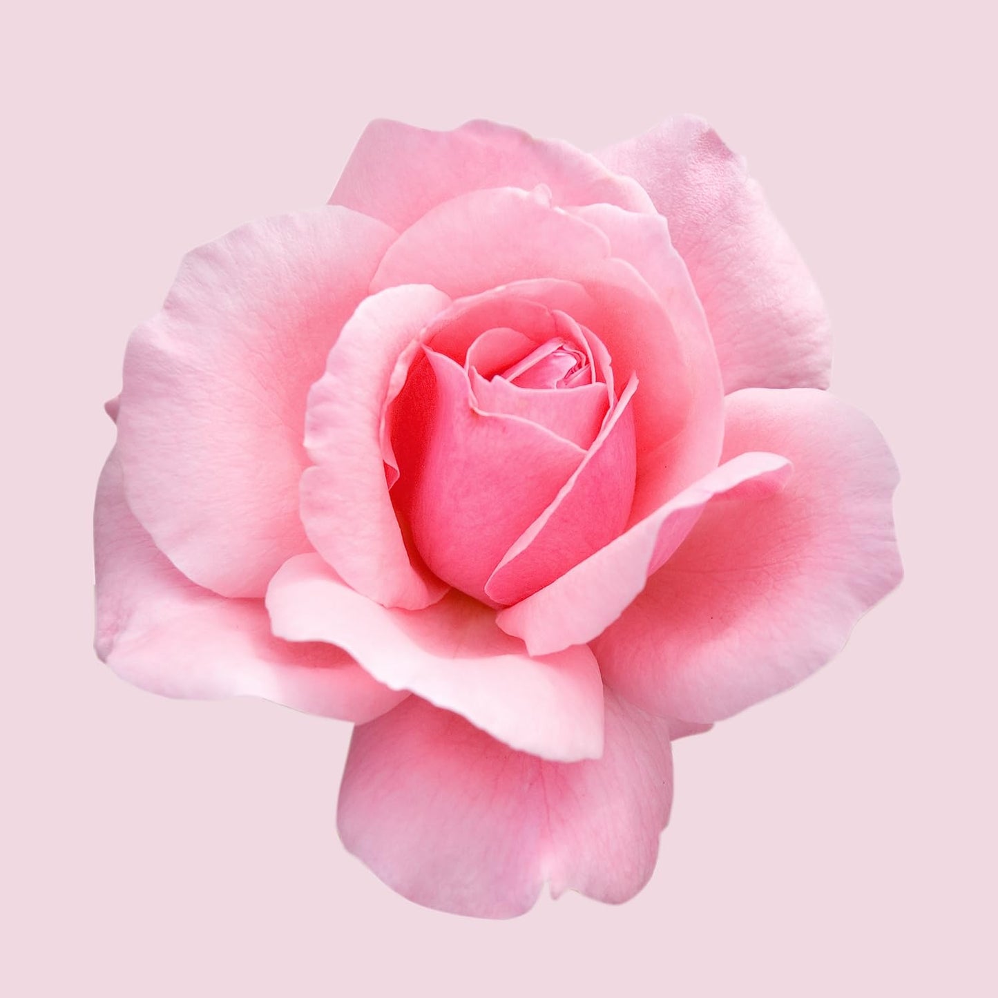 BOSS Ma Vie - Eau de Parfum for Her - Floral Fragrance With Notes Of Cactus Blossom