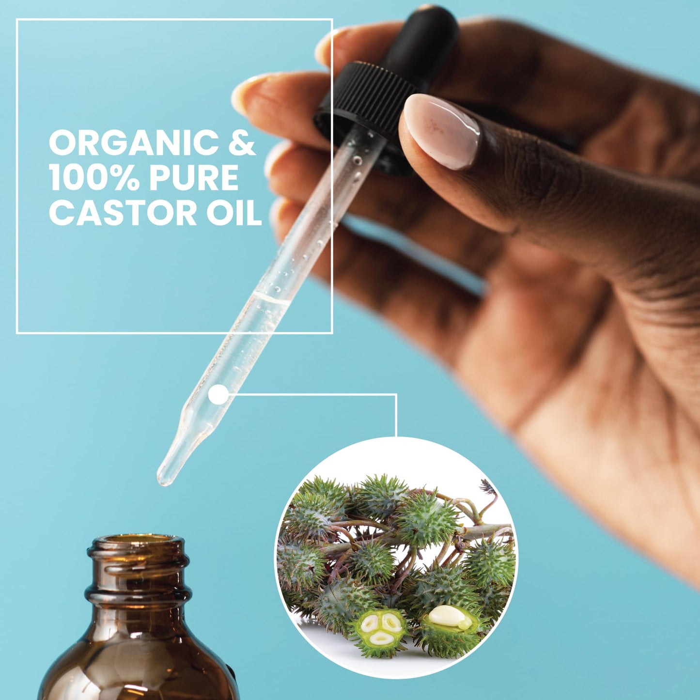 Eva Naturals Organic Castor Oil (60ml) - Promotes Hair, Eyebrow and Eyelash Growth - Diminishes Wrinkles and Signs of Aging - Hydrates and Nourishes Skin - 100% Pure - Cold Pressed
