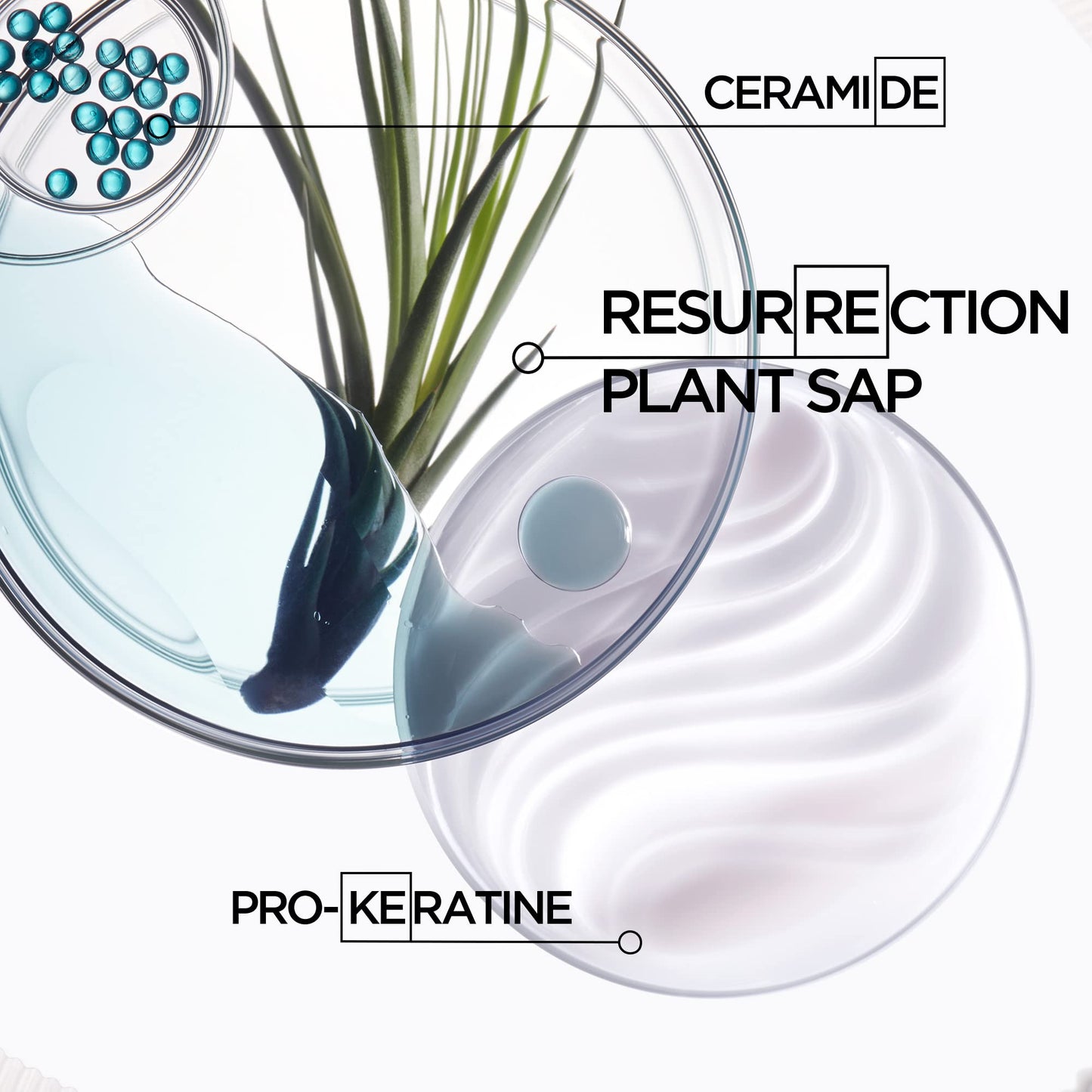 Kérastase Resistance Force Architecte, Daily Strengthening Shampoo, for Damaged, Brittle Hair, with Vita-Ciment Complex, 250ml