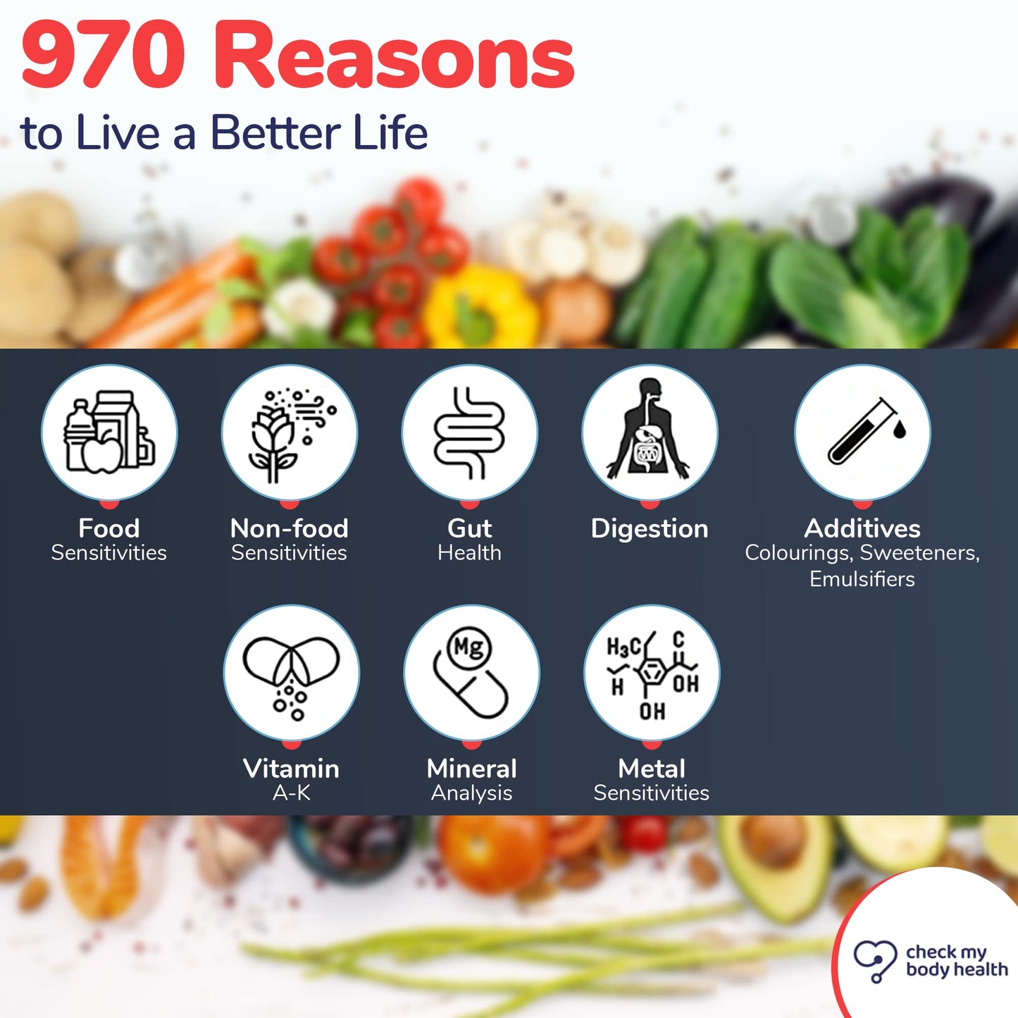 Check My Body Health | Complete Food Intolerance Test | Check for 970 Different Intolerances | Easy to Use Home Hair Strand Testing Kit & Intolerance Screening for Adults | Results in 5 Days