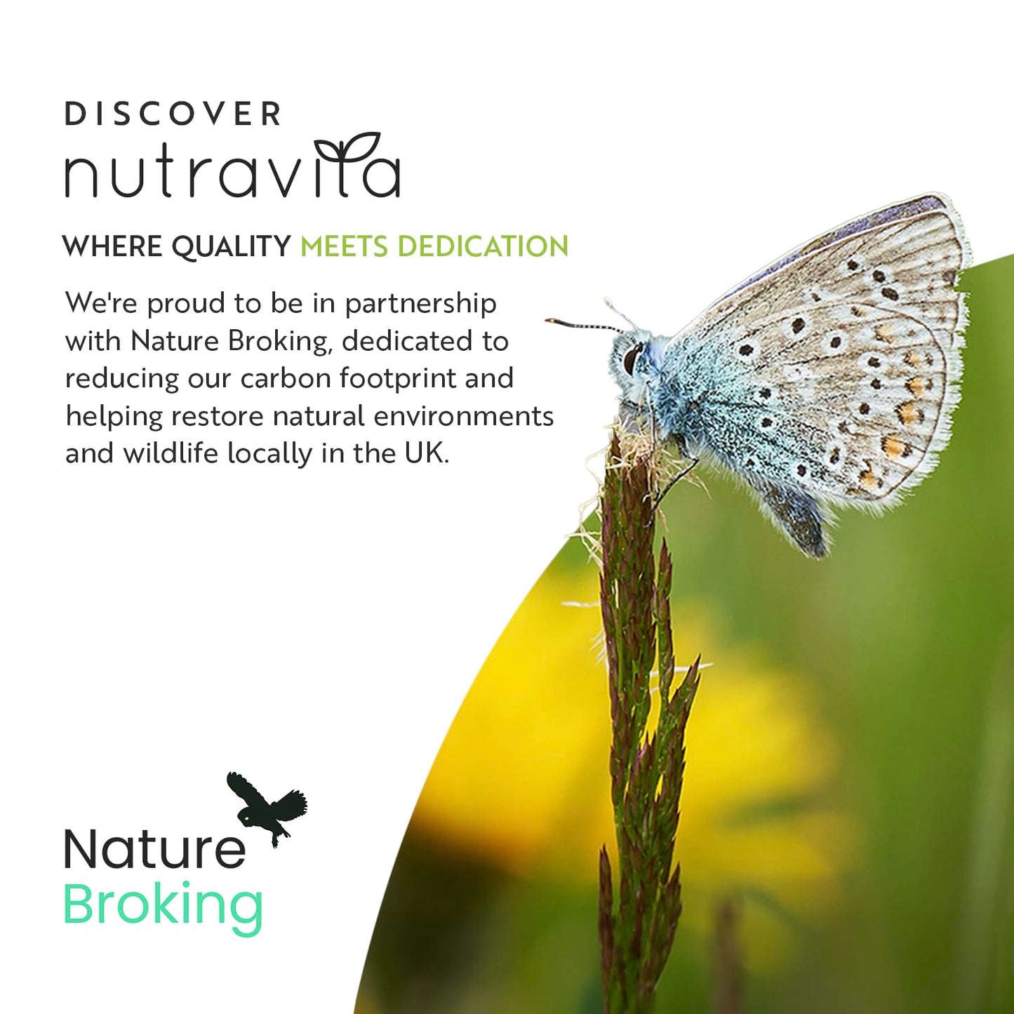 Nutravita Multivitamin 26 Essentials – 1-a-Day UK | TRYTLION
