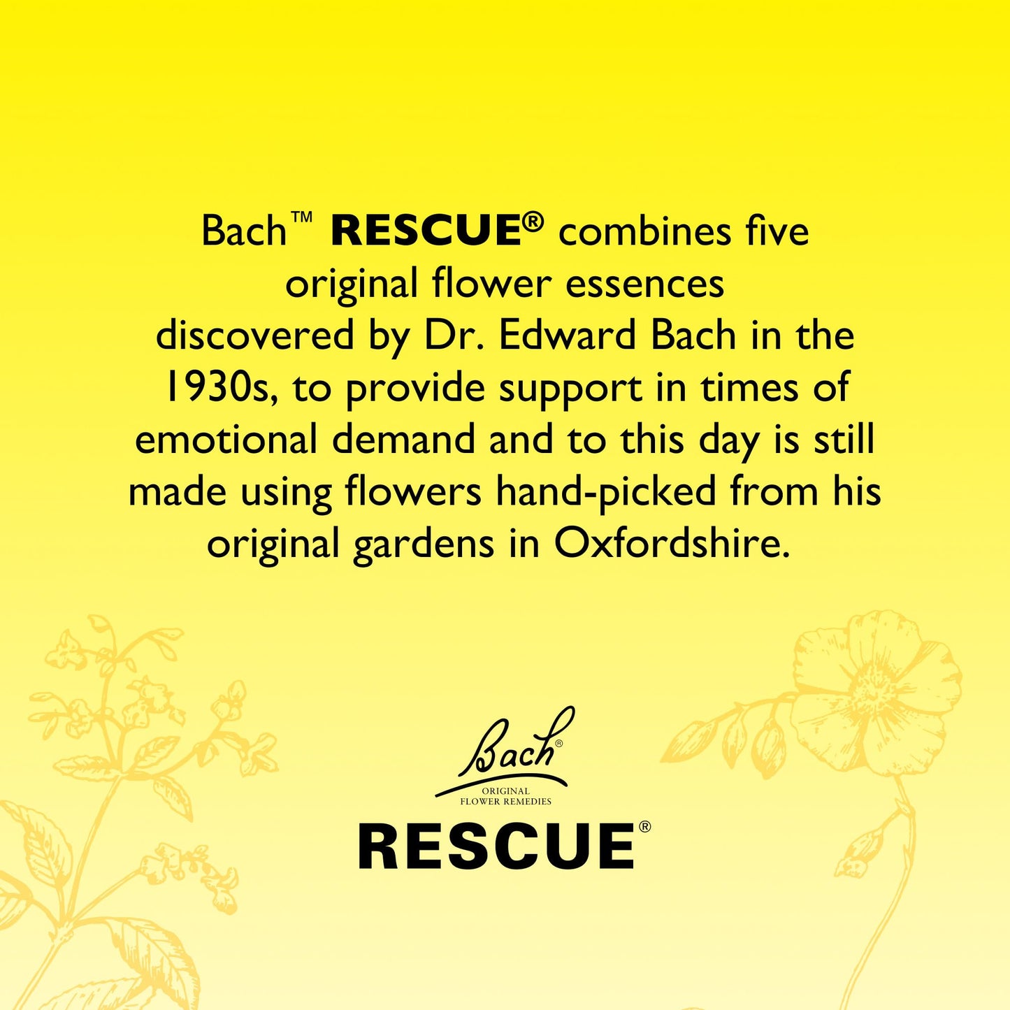 Rescue Remedy Comfort & Reassure Spray, Supports Calming Emotional Wellness in Times of Emotional Demand & Daily Challenges, Support in a Stress Full Moment, Flower Essence Formula
