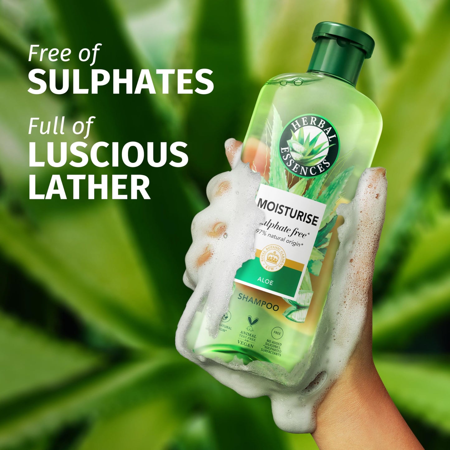 Herbal Essences Sulphate Free Shampoo and Conditioner Set For Dry Hair Including Curly and Wavy, Hydrate, Cleanse and Nourish, Sulfate Free & Vegan, VALUE PACK, 2x350ml Shampoo, 2x 250ml Conditioner