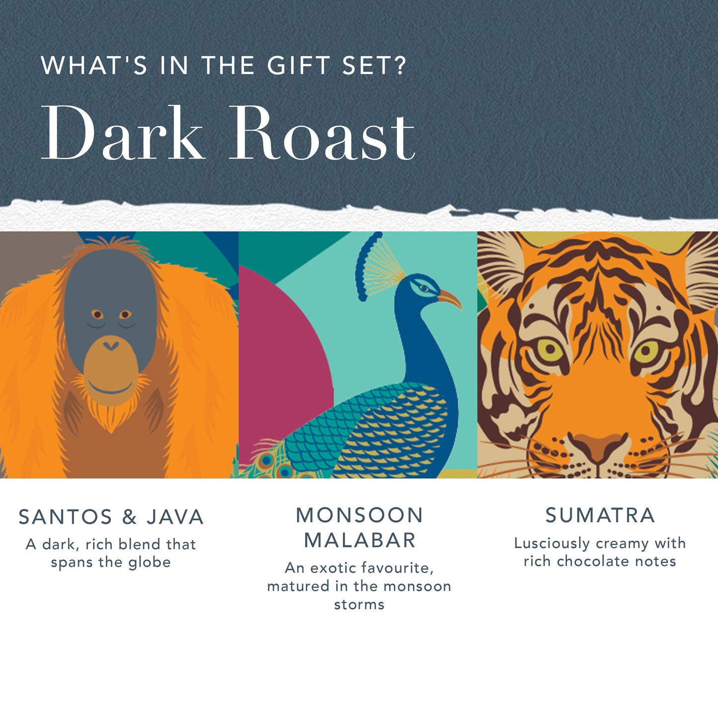 Whittard of Chelsea | Coffees of the World Gift Set For Men & Women | 9 Boxes of Single Origin Ground Coffee | Brews up to 72 cups | 9 x 66g Ground Coffee Bags