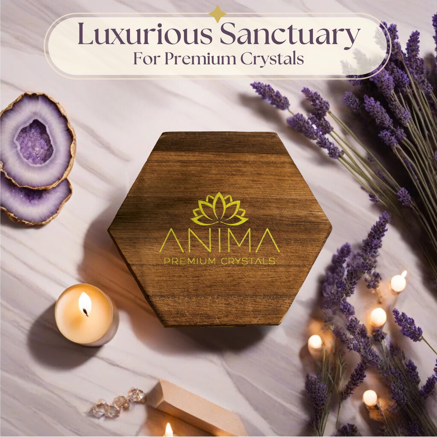 Anima Premium 7 Chakra Crystals Set – Perfect Spiritual Gifts for Women with Large Raw Rose Quartz, Amethyst and Lapis Lazuli Crystals in Wooden Box with Guide Booklet