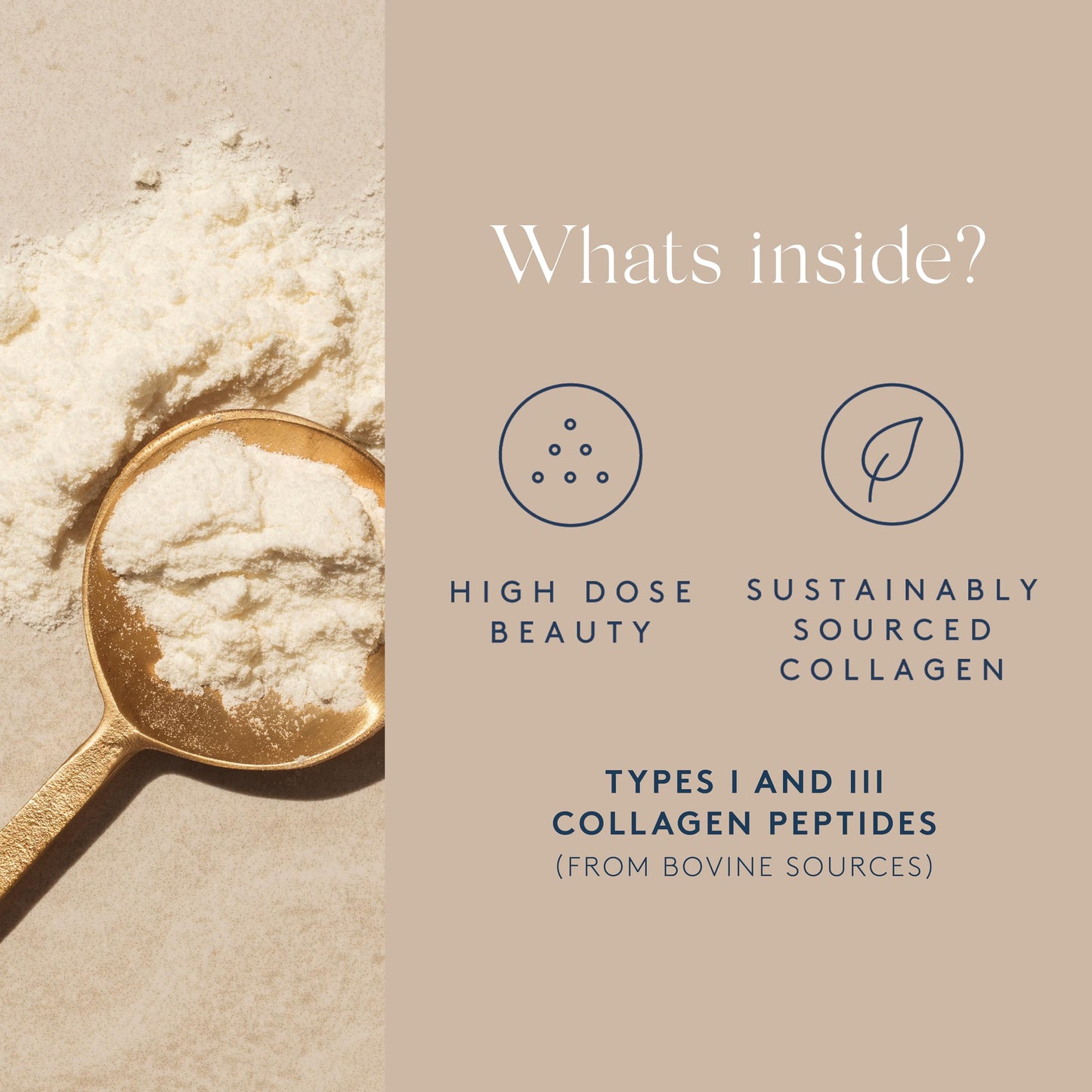 Dose & Co Pure Collagen Peptides, Unflavoured - 283g Powder Supplement