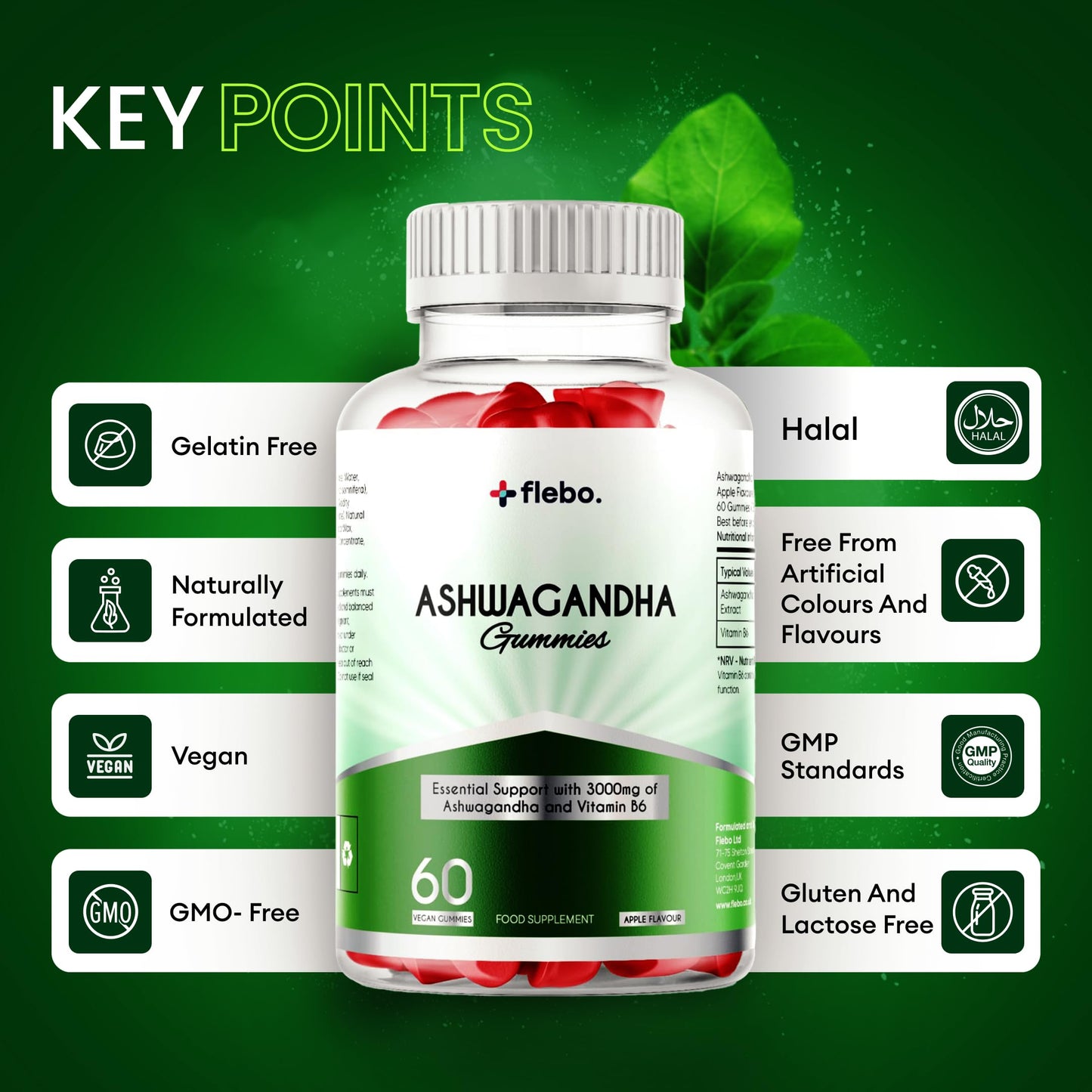 Flebo Ashwagandha High Strength Gummies, Vegan & Gluten-Free I Stress & Anxiety Relief for Adults, Ashwagandha Gummies Supplement for Relaxation and Wellness 60 Two - A - Day I Apple Flavor
