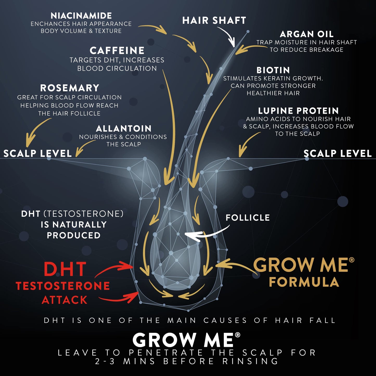Grow Me® Hair Growth Shampoo - Not just a Caffeine Shampoo we include Biotin, Argan Oil, Rosemary, Niacinamide. Hair Thickening Treatment for Women & Men with progressed thinning.