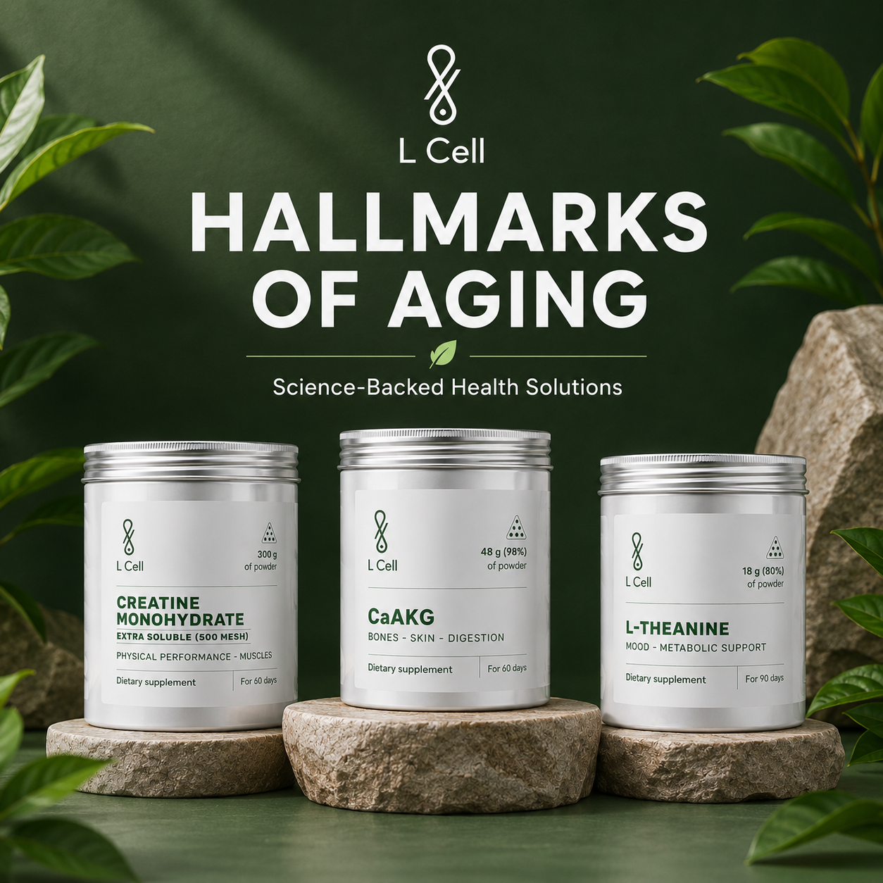 L Cell – Shop by Hallmark of Aging