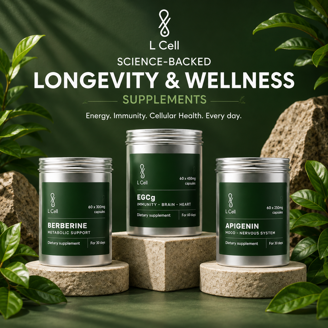 L Cell Longevity Supplements