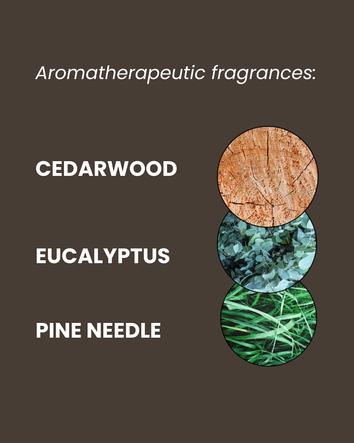 ManCave Cedarwood Shower Gel for Men, Fresh Woody Aroma with Eucalyptus and Pine Needle, Sulphate and Paraben Free, Natural, Vegan, Cruelty Free, 500 ml