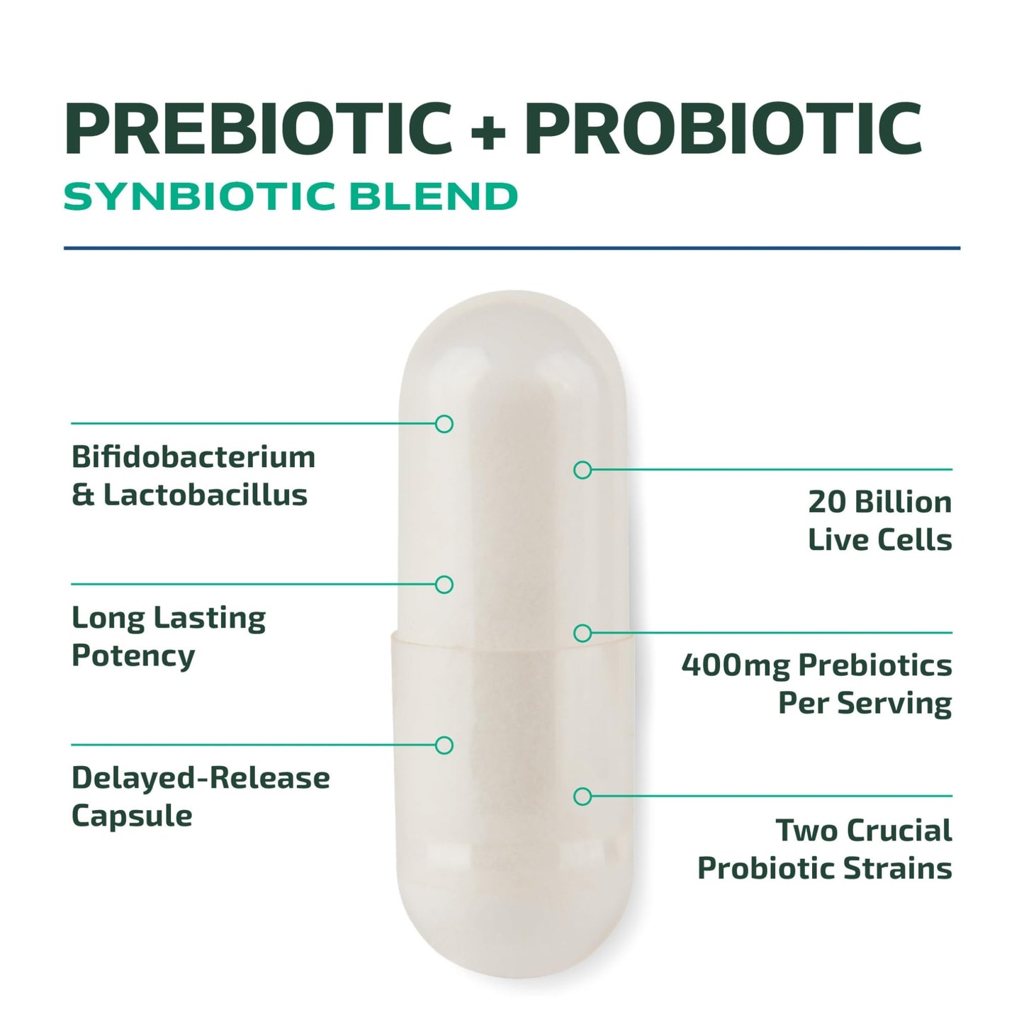 Probiotic and Prebiotic Capsules | Synbiotic Gut Health & Bloating Support for Women & Men | Enzymes with Pre and Probiotics for Gut Health Supplements | 20 Billion CFU | Non-GMO, Vegetarian | 60 Ct