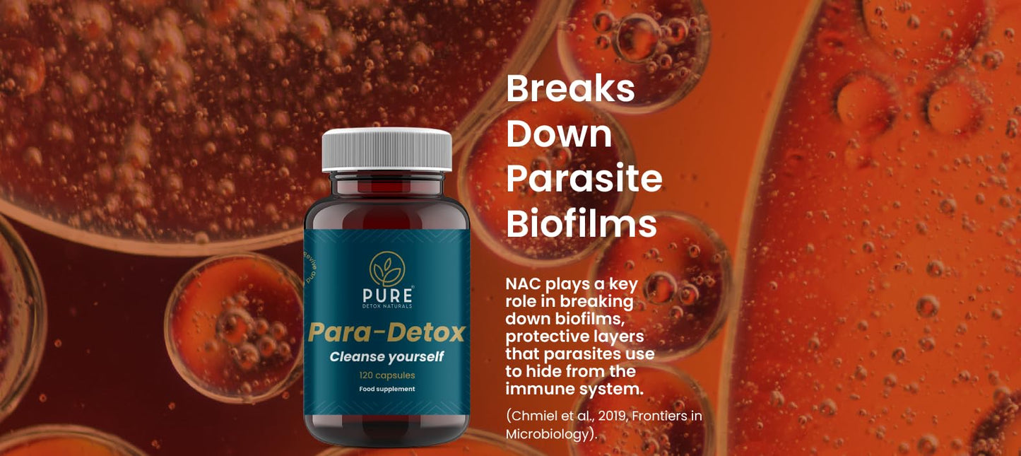 para-Detox – Natural Parasite Cleanse | Powerful Blend with NAC, Ginger Root, Clove, Wormwood, Garlic & Pumpkin Seed | Made in The UK | All-Natural, Gut Health