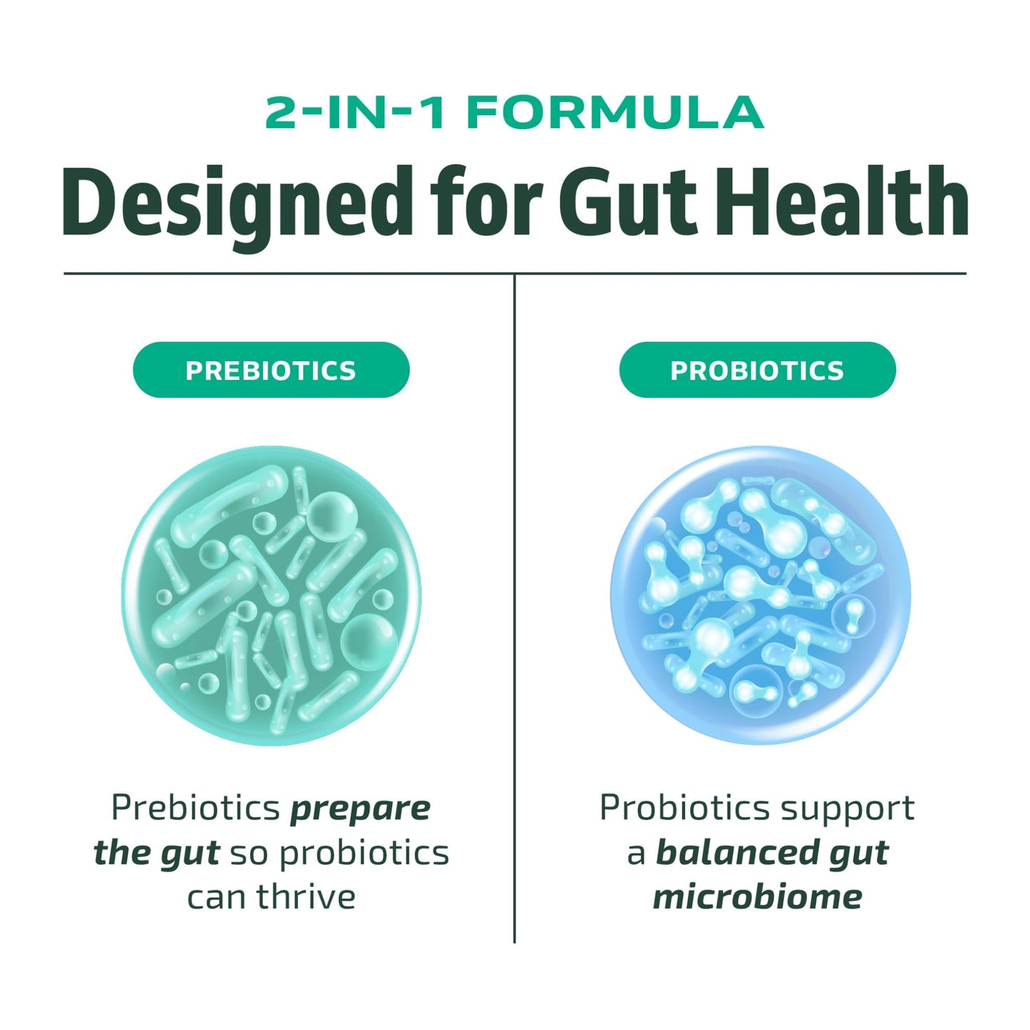 Probiotic and Prebiotic Capsules | Synbiotic Gut Health & Bloating Support for Women & Men | Enzymes with Pre and Probiotics for Gut Health Supplements | 20 Billion CFU | Non-GMO, Vegetarian | 60 Ct