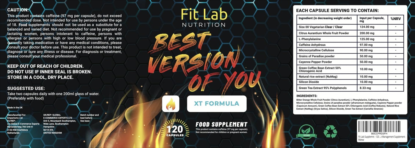 Fit Lab - Best Version of You, Food Supplement - Gym Essentials -120 Capsules - Vegan, Halal and Vegetarian Supplements for Women and Men - 60 Days Supply