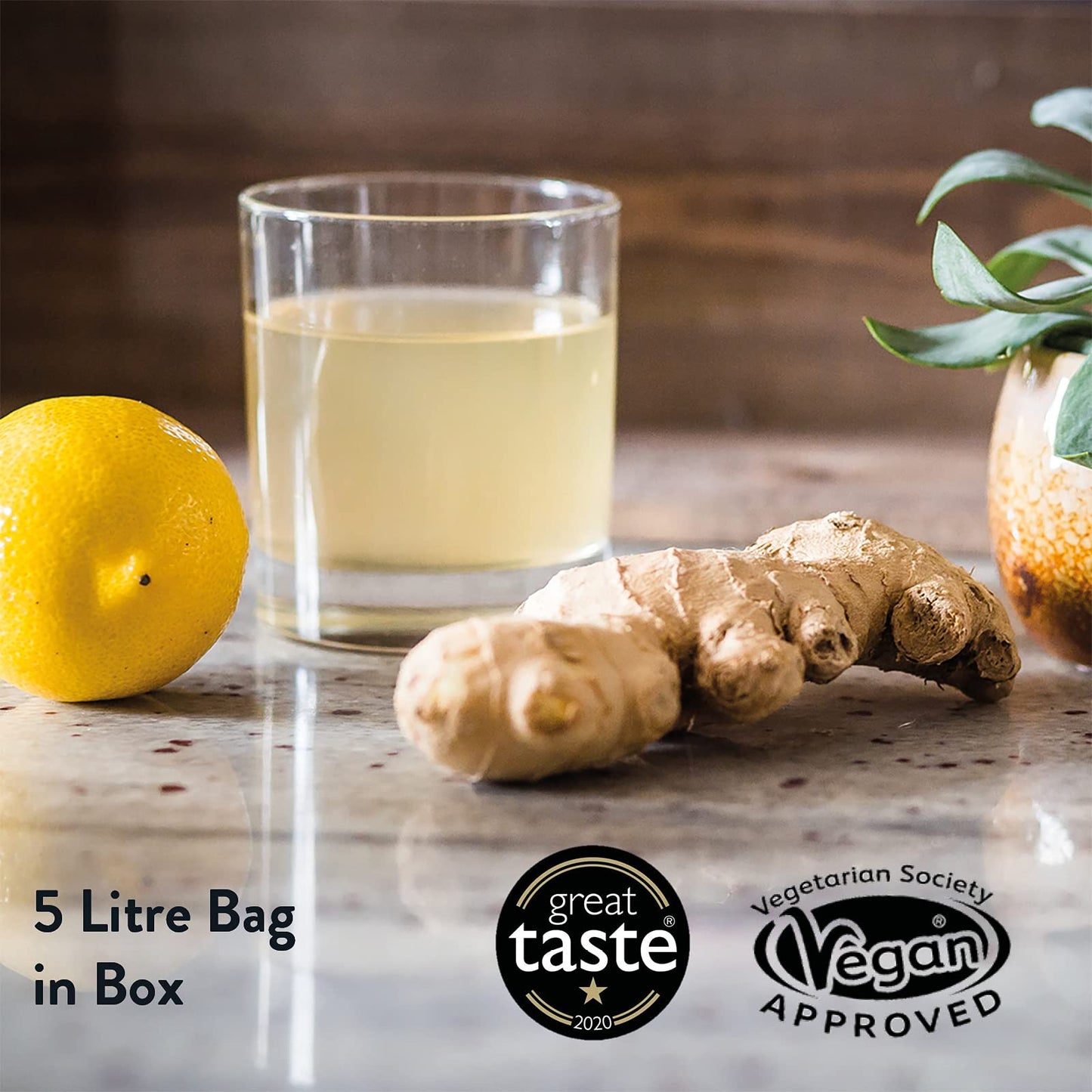 WILLY'S Apple Cider Vinegar with Live Mother - Probiotics For Detox & Gut Health - 5L Refill Bag In Box - Sustainable ACV