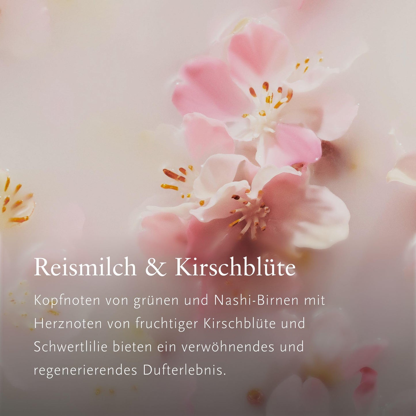 RITUALS Gift Set The Ritual of Sakura Medium - Home and Skincare Products Enriched with Cherry Blossom and Rice Milk - Bath Gift Box with Renewing and Soothing Properties