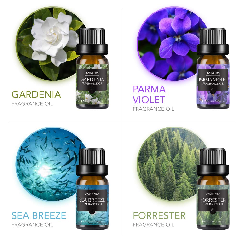 Fragrance Oils Gift Set TOP 16 Aromatherapy Premium Grade Oils Kit Fragrance Oils for Candle Making, Soap Making, Diffuser, Perfume, Bath - 10ml/Bottle