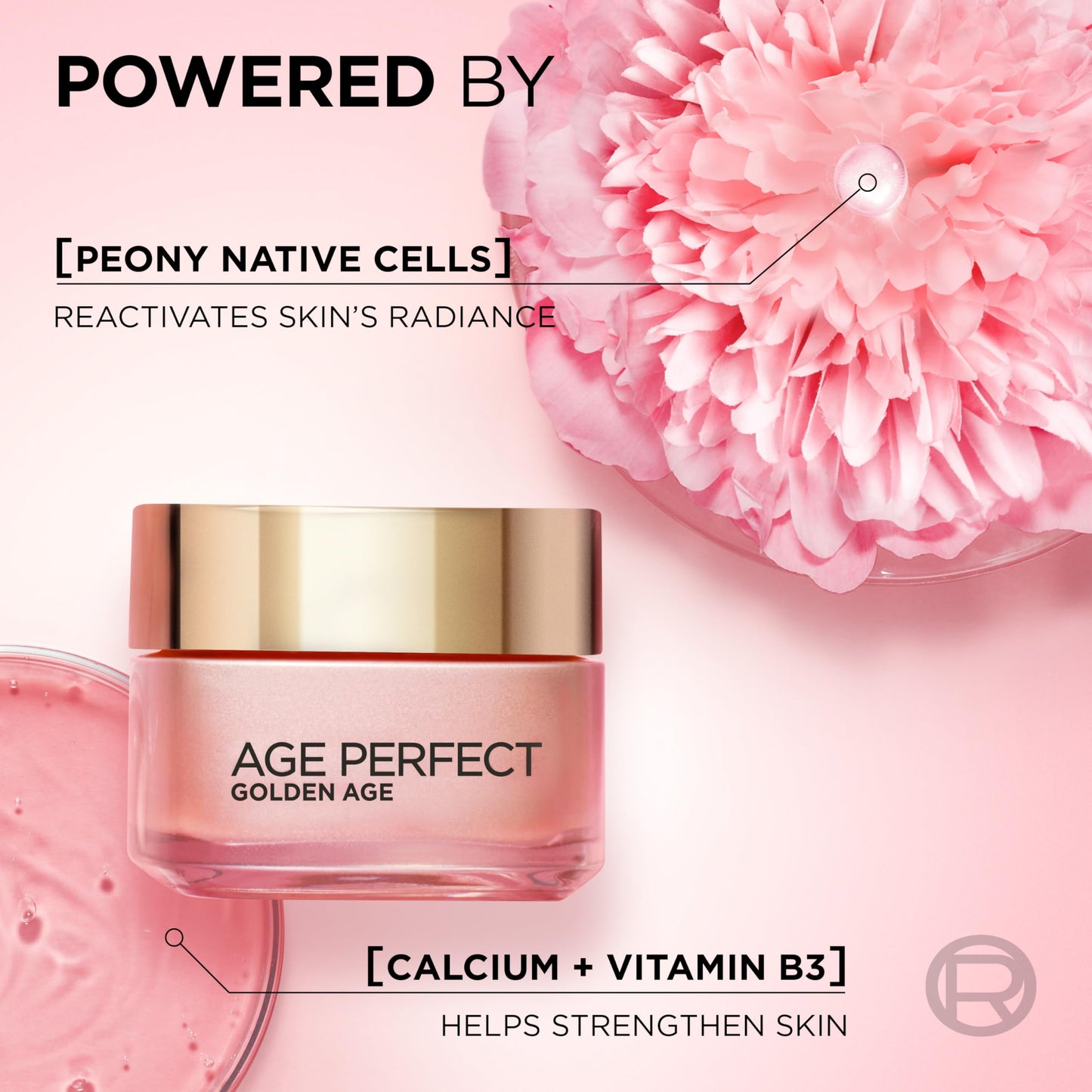 L’Oréal Paris Age Perfect Golden Age Rosy Day Cream 60+, Moisturising, Reactivates Radiance with Instant Glow, Peony Native Cells, Calcium B3, 50ml
