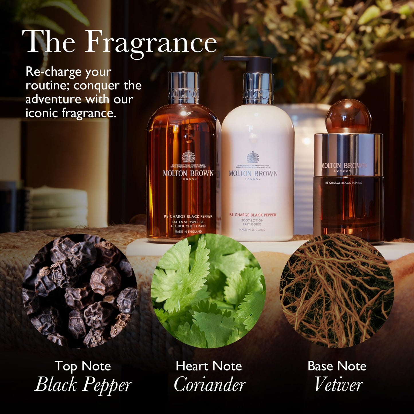 Molton Brown Re-Charge Black Pepper Eau de Toilette 100 ml