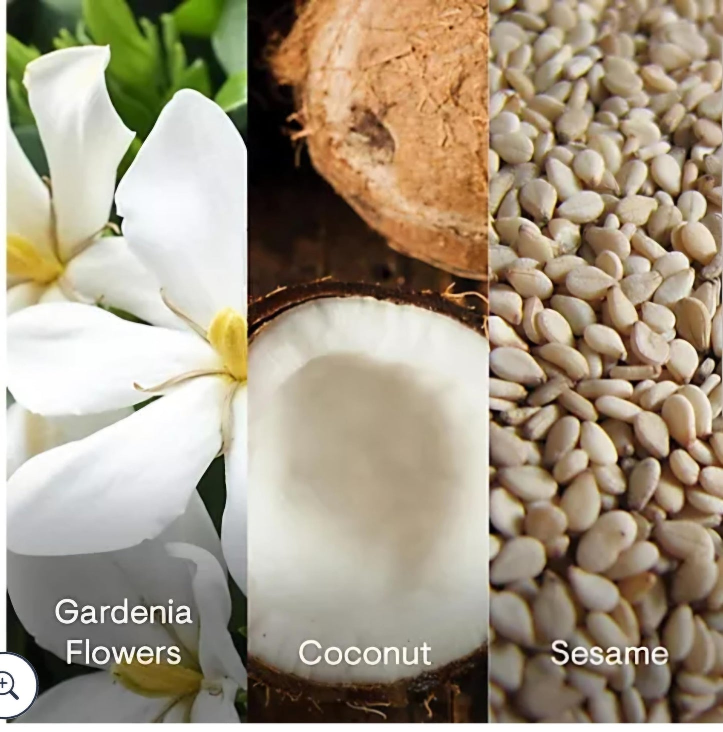 ELE-MIS Pro-Collagen Gift Set (6-Piece)