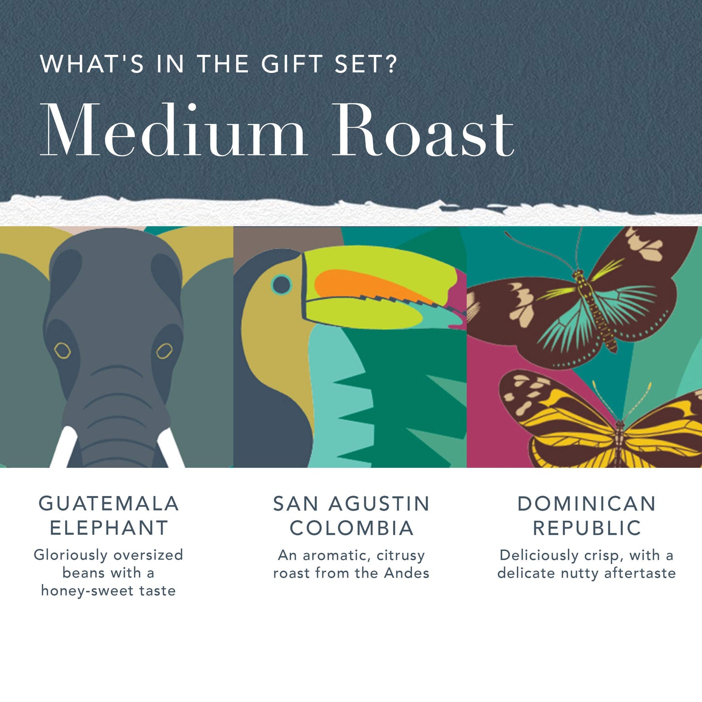 Whittard of Chelsea | Coffees of the World Gift Set For Men & Women | 9 Boxes of Single Origin Ground Coffee | Brews up to 72 cups | 9 x 66g Ground Coffee Bags
