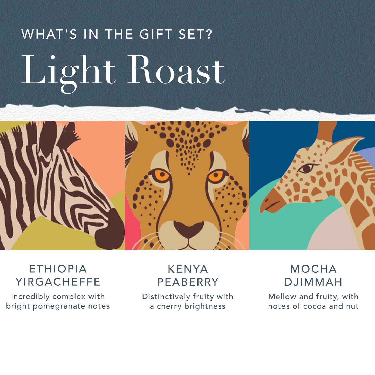 Whittard of Chelsea | Coffees of the World Gift Set For Men & Women | 9 Boxes of Single Origin Ground Coffee | Brews up to 72 cups | 9 x 66g Ground Coffee Bags