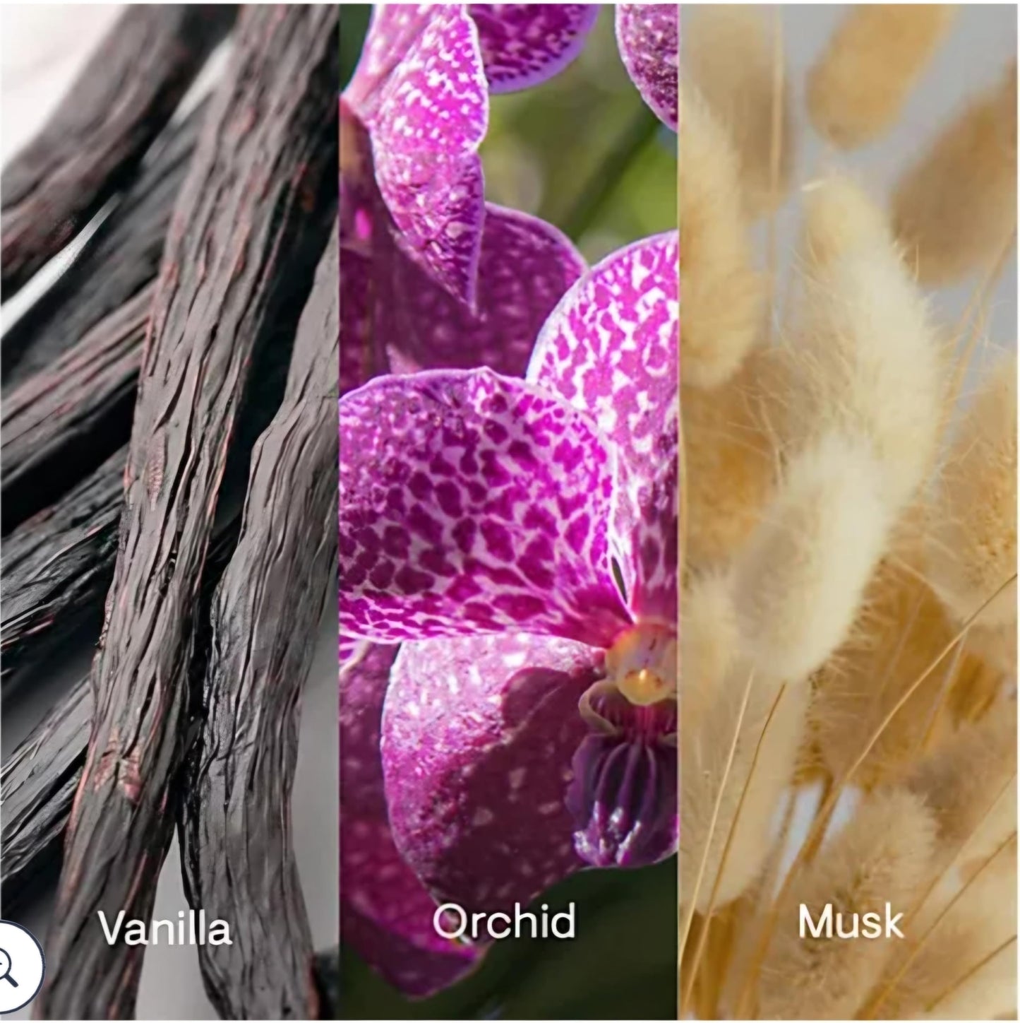 ELE-MIS Pro-Collagen Gift Set (6-Piece)