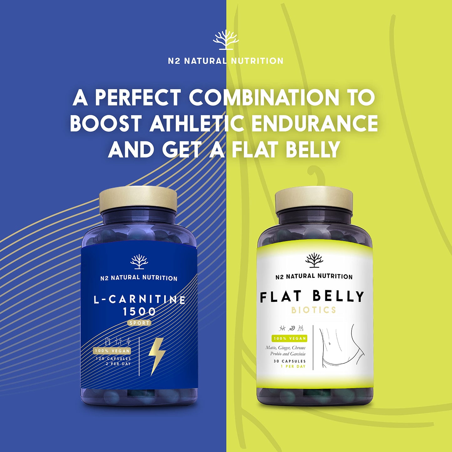 Natural L CARNITINE 1500mg. Fat Burner Pills Supplement. Improves Sports Performance, Weight Loss & Provides Energy Resistance. 120 Vegetable Capsules. UK Vegan Certified. N2 Natural Nutrition.