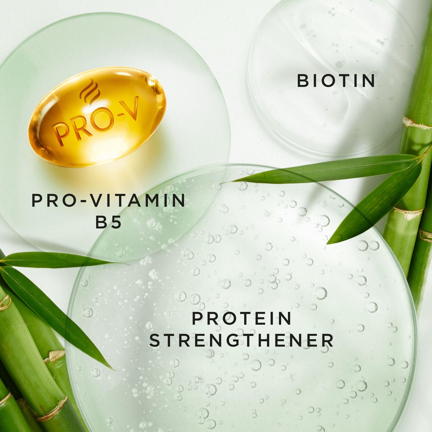 Pantene Biotin & Bamboo Conditioner |For Dry Damaged Hair |Helps Reduce Hair Loss, 1L
