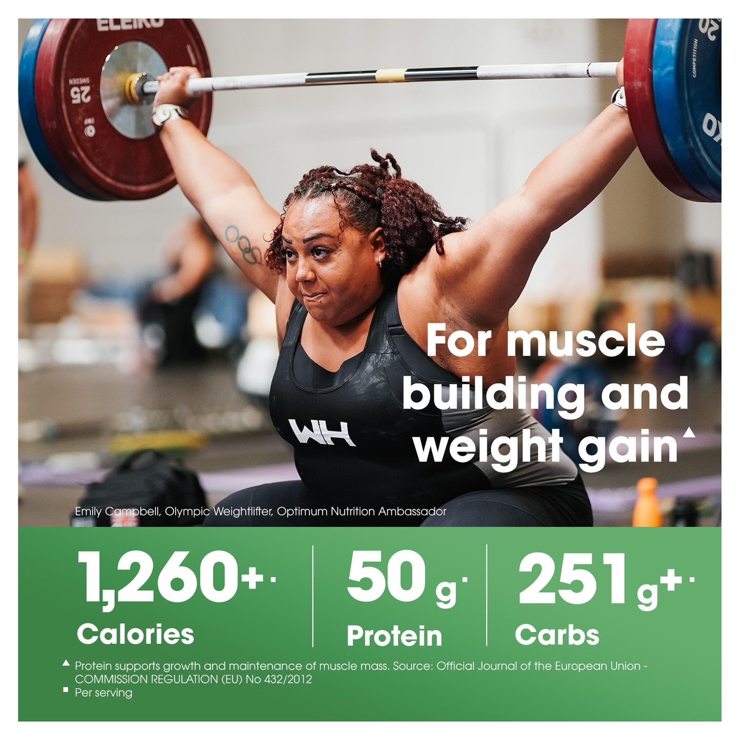 Optimum Nutrition Serious Mass High Calorie Mass Gainer Vanilla – 2.73 kg | TRYTLION