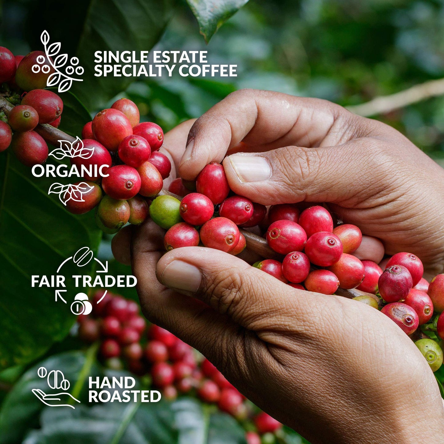 Gourmet Birthday Coffee Gift Set for Men & Women – 5 of the World's Finest Single Estate Specialty & Organic Coffees | Brew & Enjoy Anytime, Anywhere | Hamper Style Letterbox Gift Idea for Him & Her