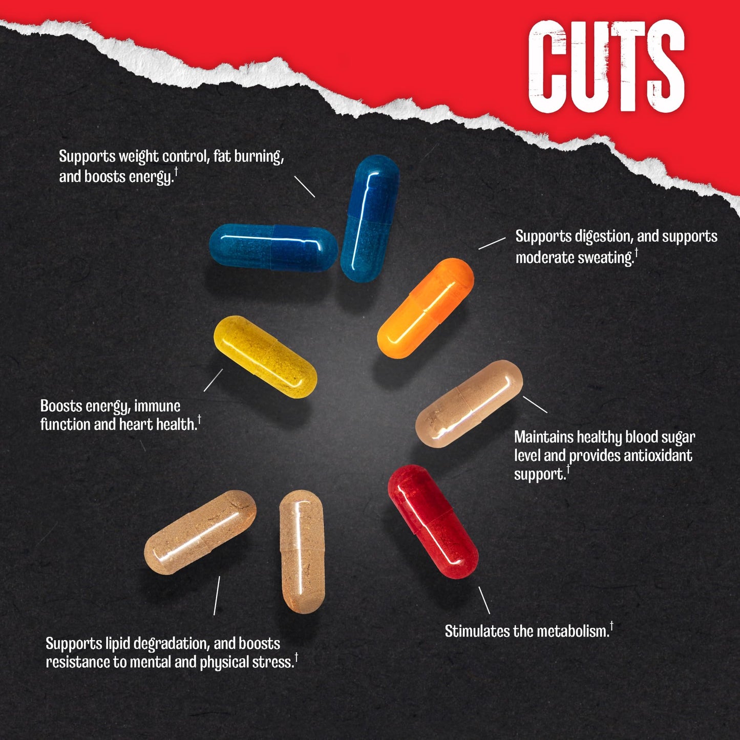 Animal Cuts - Diet & Definition Supplement for Athletes, Weight Loss Management for Men & Women - with Green Tea Extract, Caffeine & More, 21 Packs