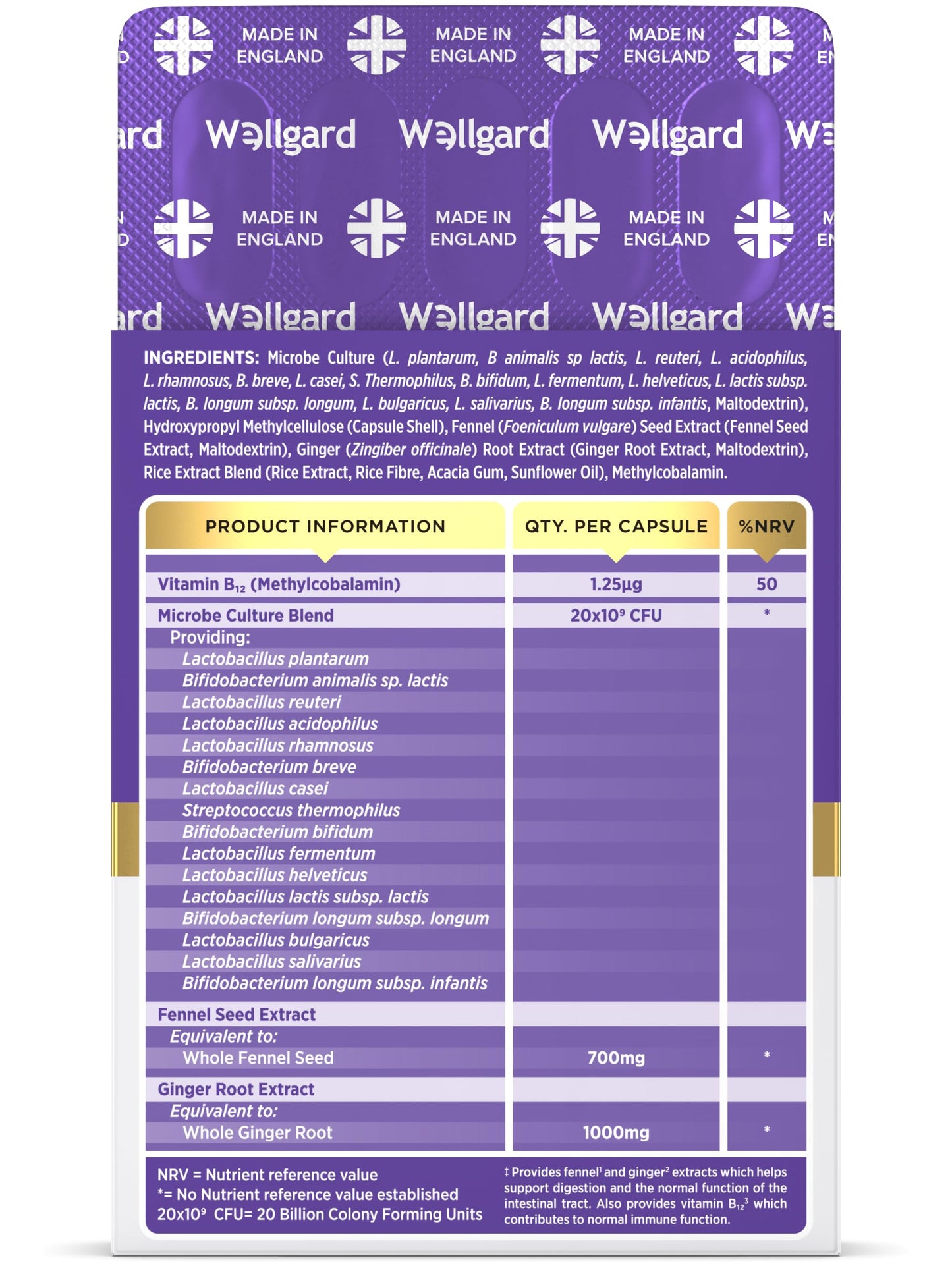 Wellgard Gutstar Probiotics - 16 Strain Probiotics for Gut Health with Fennel and Ginger, Vegan, UK Made