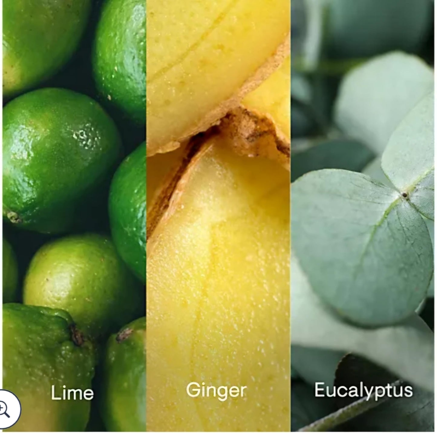 ELE-MIS Pro-Collagen Gift Set (6-Piece)