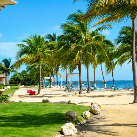 London to Cayman Islands Fly + Stay Package | 7–10 Nights